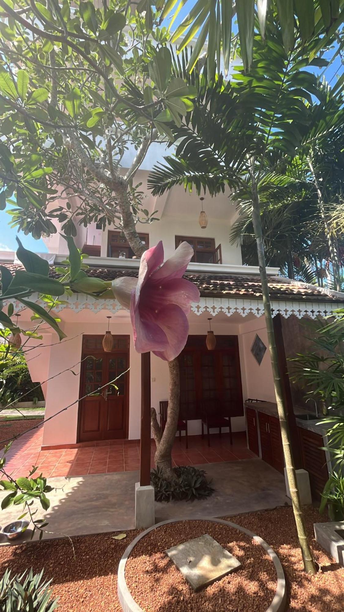 Beach Club Apartments Induruwa Ngoại thất bức ảnh