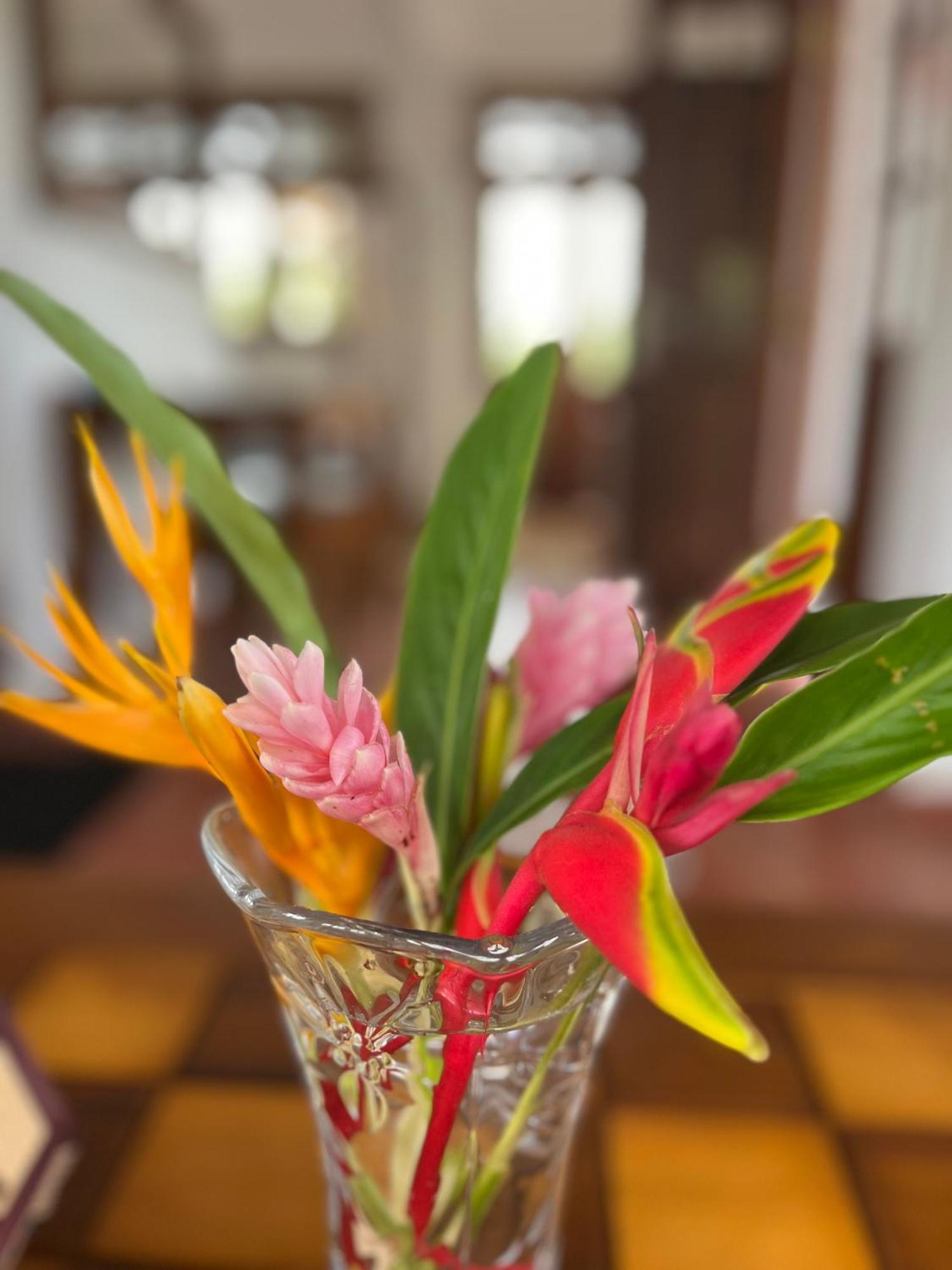 Beach Club Apartments Induruwa Ngoại thất bức ảnh