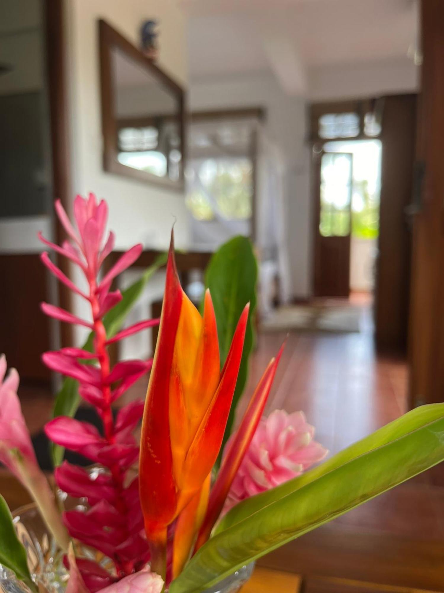 Beach Club Apartments Induruwa Ngoại thất bức ảnh